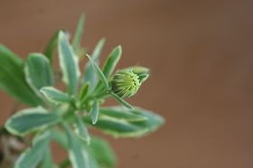 20100208a.jpg
