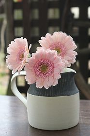 20100315.jpg