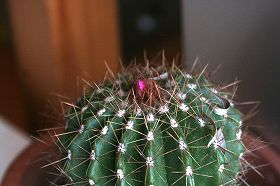 20100317.jpg