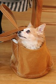 20100507d.jpg