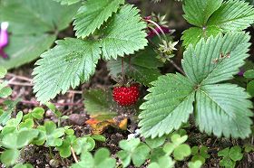 20100513.jpg