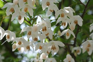 20100521a.jpg