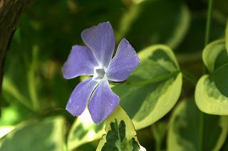 20100521e.jpg