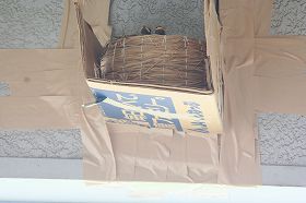 20100630a.jpg