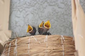 20100630c.jpg