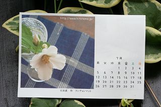 20100707.jpg