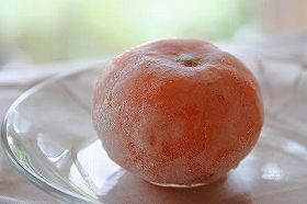 20100707a.jpg