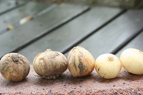 20100728.jpg