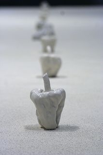 20100817b.jpg