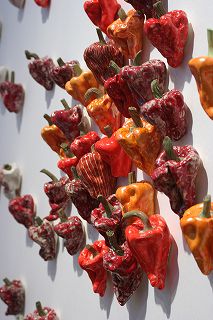 20100817f.jpg