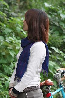 20101027a.jpg