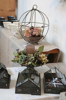 20101126e.jpg