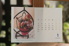 20110105.jpg