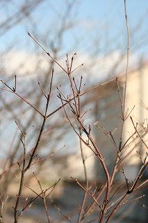 20110110.jpg