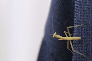 20110612.jpg
