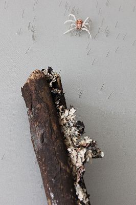 201107016a.jpg