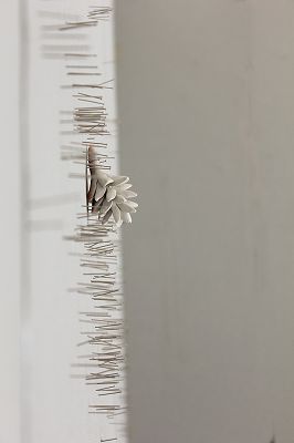 201107016b.jpg
