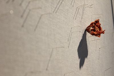201107016c.jpg