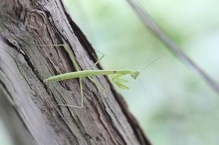 20110802.jpg