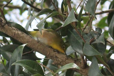 20120227b.jpg