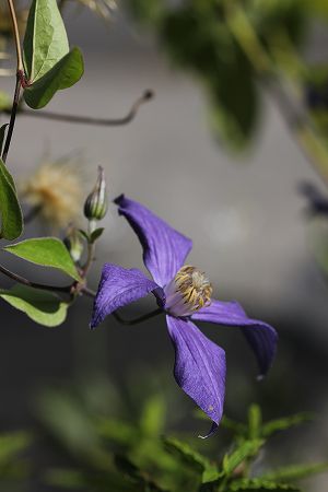 20120830.jpg