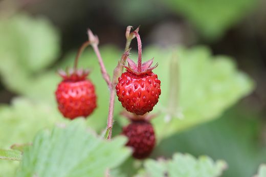 20130529.jpg