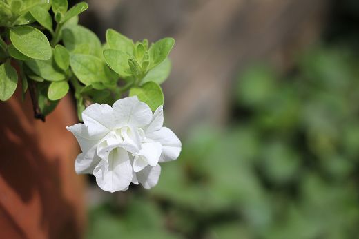 20130819.jpg