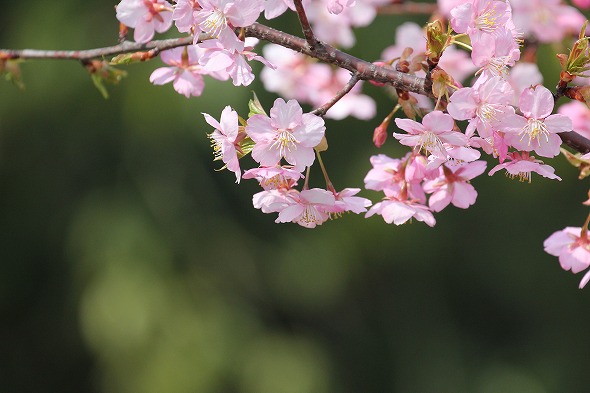 20140319a.jpg