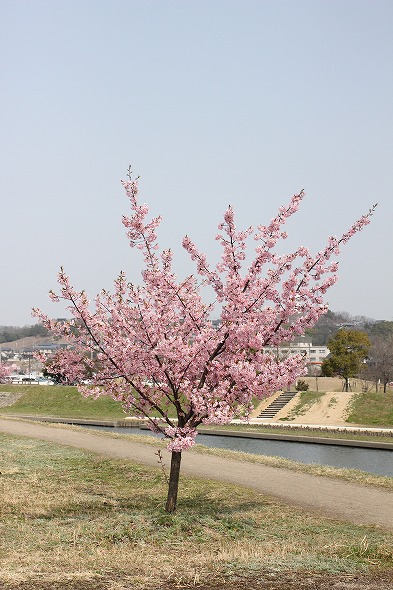 20140319c.jpg