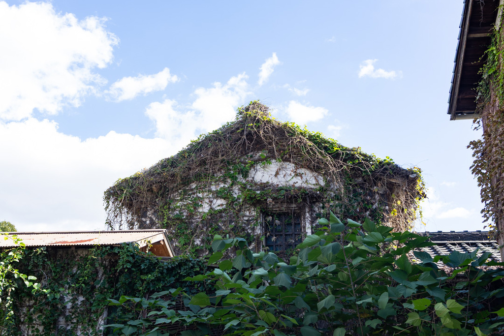 草に覆われた建物
