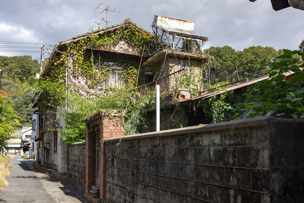 植物に埋もれそうな建物