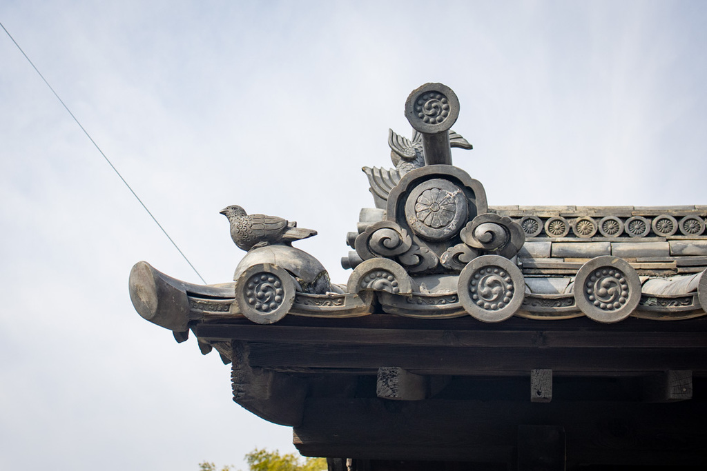 正福寺山門福の鳩