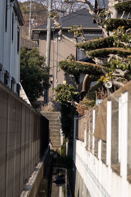 用水路の先に階段？