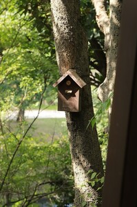 鳥の巣箱