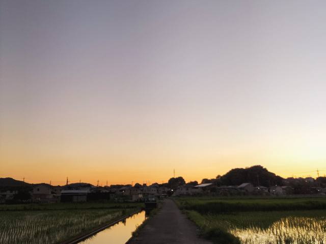 夕暮れ時の散歩道