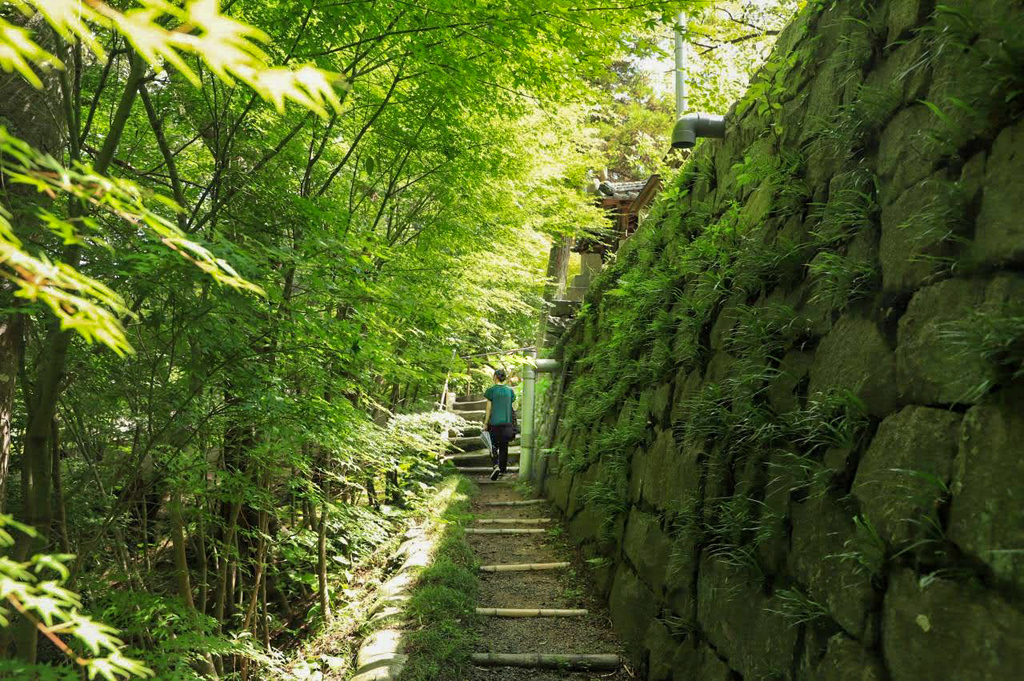 円通寺の苔むした石垣