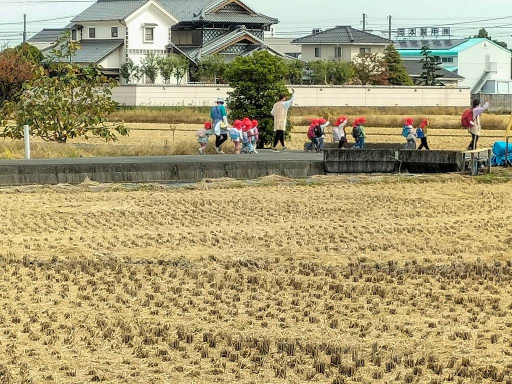 稲刈りが済んだ田んぼと園児