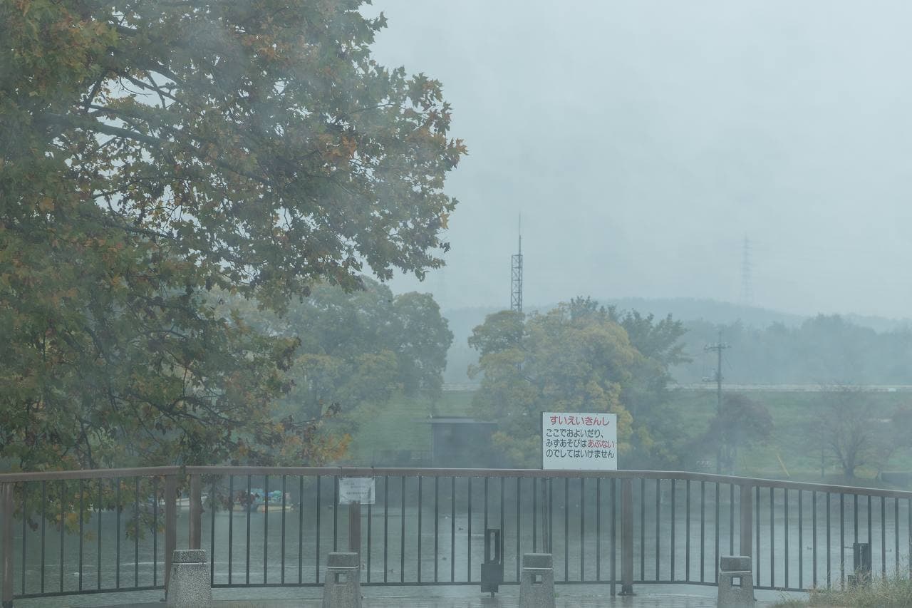 雨の酒津公園