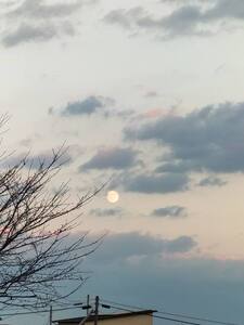夕方の満月