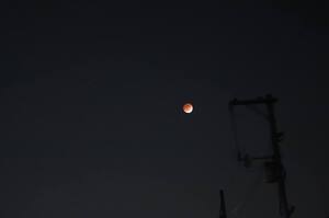 赤い月の夜