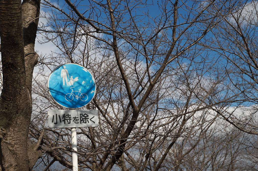 自転車道の入り口