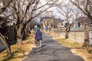 冬の遊歩道