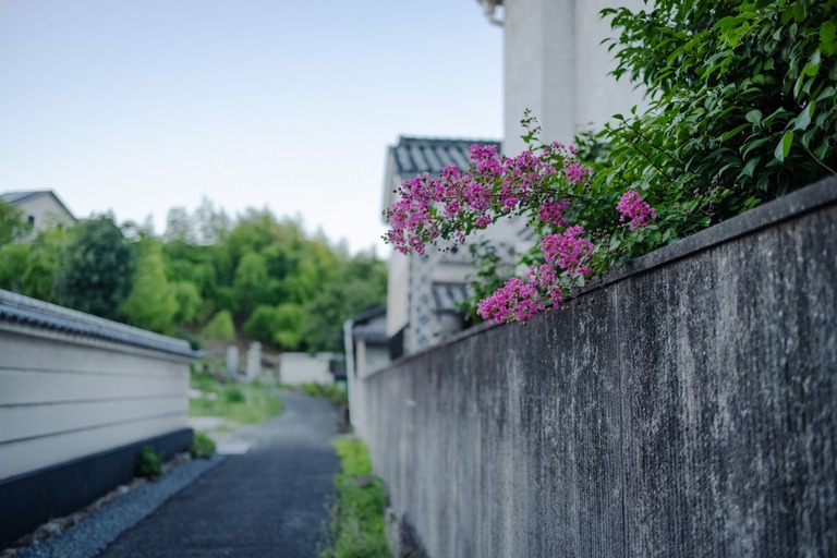 林医院の裏の道にて