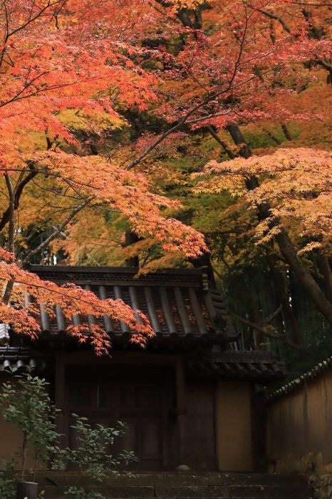 井山宝福寺