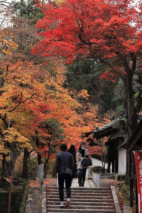 井山宝福寺