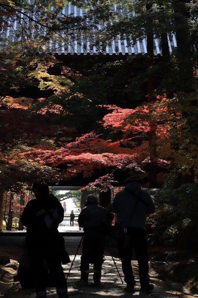 曹源寺