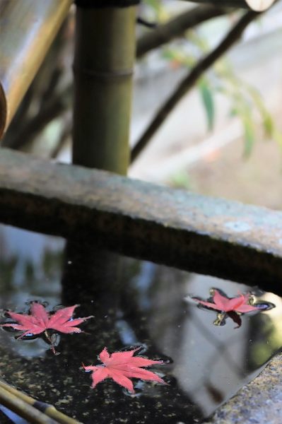 曹源寺