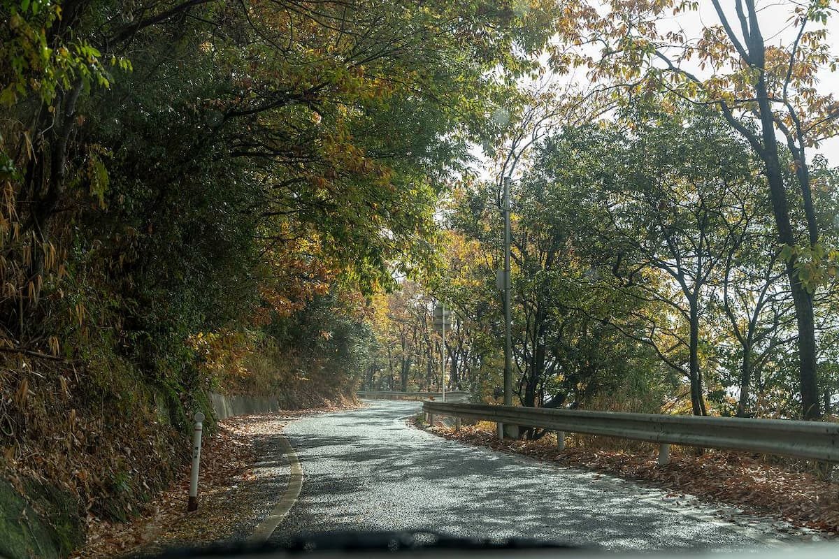 雨上がりの紅葉の道
